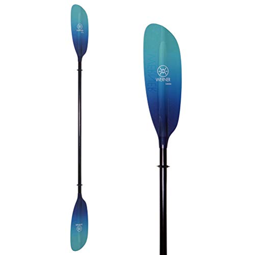Best Kayak Paddles for Sale Reviews