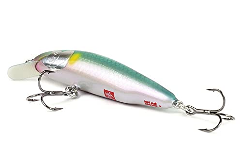Amazon.co.jp: 【WooDream】 ウッドリーム Arbor 70F HR アルボル 8.5g