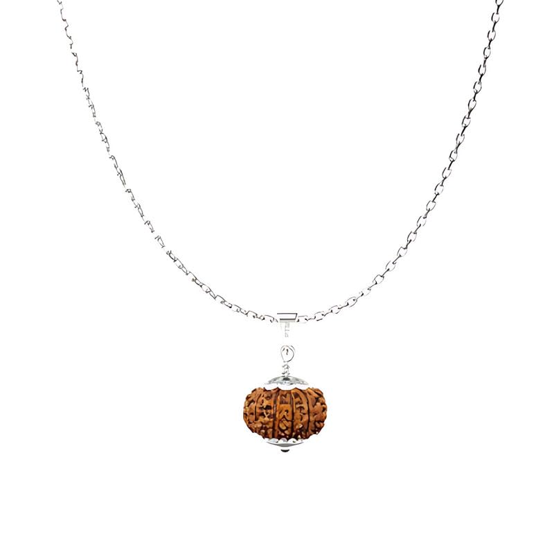 Natural 11 Mukhi Rudraksha Pendant | Ekadashmukh Nepali Astrological Bead | Eleven Face 925 BIS Hallmark Sterling Silver Locket With Chain for Men & Women lab certified