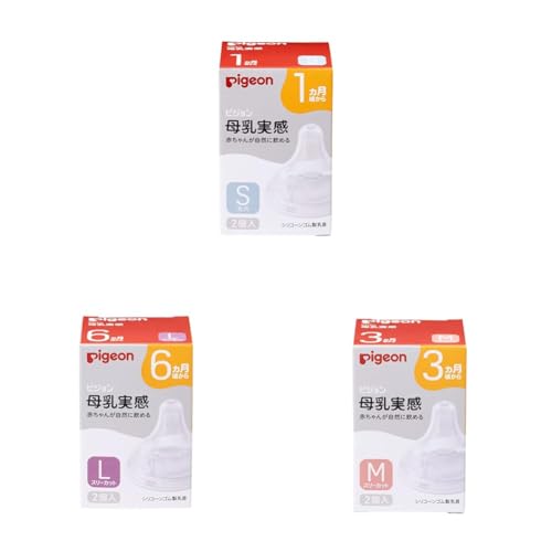 sW   1 S 2 K؂ȋz(b`I)ɓ + 6 L 2 K؂ȋz(b`I)ɓ + 3 M 2yZbgz