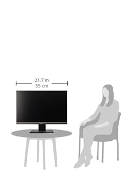 Amazon.co.jp: Acer V246WL - LED monitor - 24