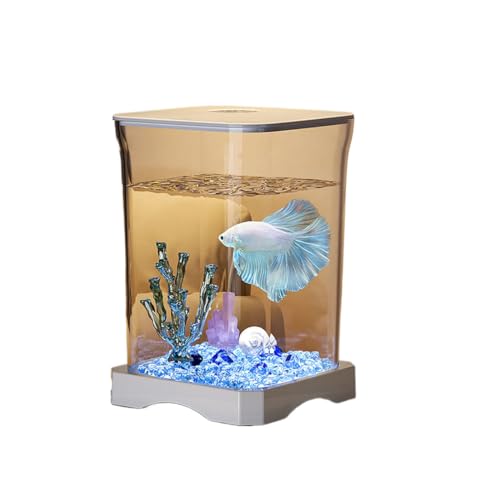  tB^[ |v _J Cg Zbg RpNg x^ B ANAE XtB^[ Mы   ^ 