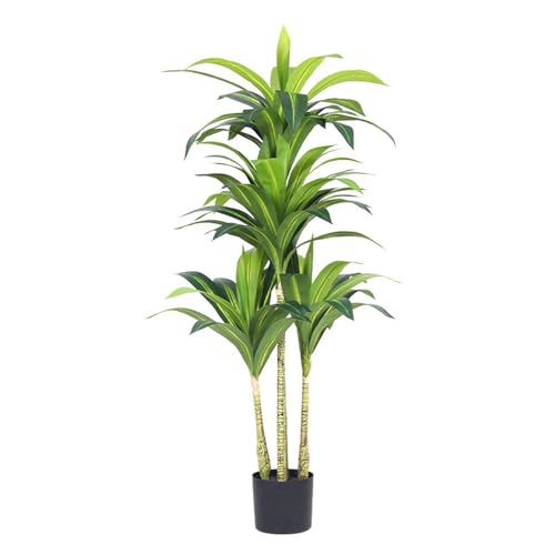 [LJKI] tFCNO[ hZi K̖ ϗt ^ A  ϗtA A  lHϗt CeA 킢 ͂Ȃ  sv ȒP v[g 150CM 蕨 j JXj JƏj fR[V