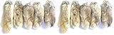 Dangerous Threads Rabbit Rabbits Foot Keychain White/Natural 5 Pcs