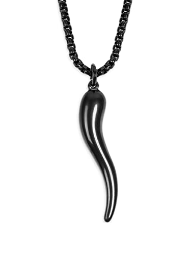 HAQUIL Italian Horn Necklace, Stainless Steel Cornicello Horn Amulet Charm Pendant, Box Chain, Italian Jewelry Gifts