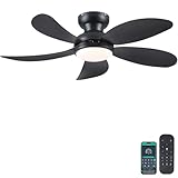 PHORUS 42' Black Low Profile...