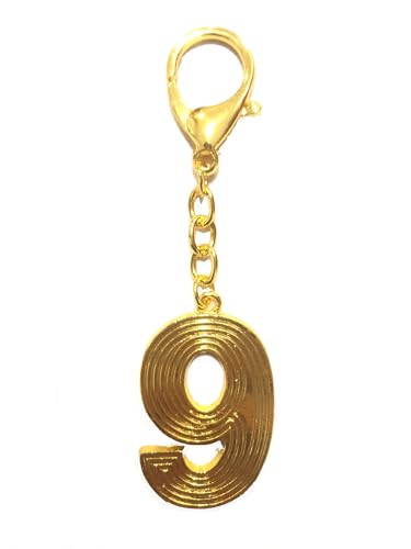 feng shui Number 9 Nine Brooch Amulet 2026