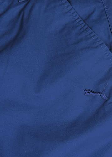 Image of Puma Men's Regular Track Pants