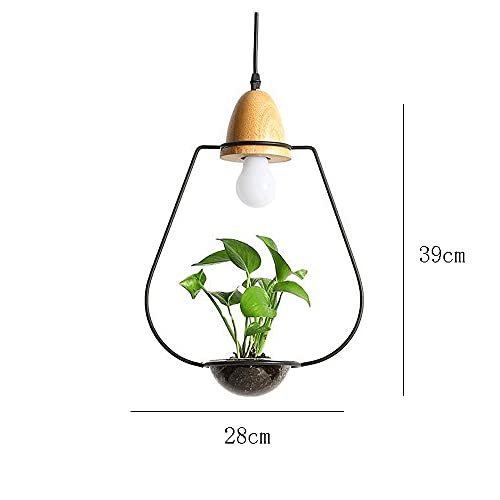 Lámpara de techo verde E27 para decoración de librerías 4