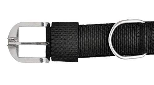 Image of RvPaws Nylon Dog Collar Adjustable for Large Dog (Black,1.25inch)