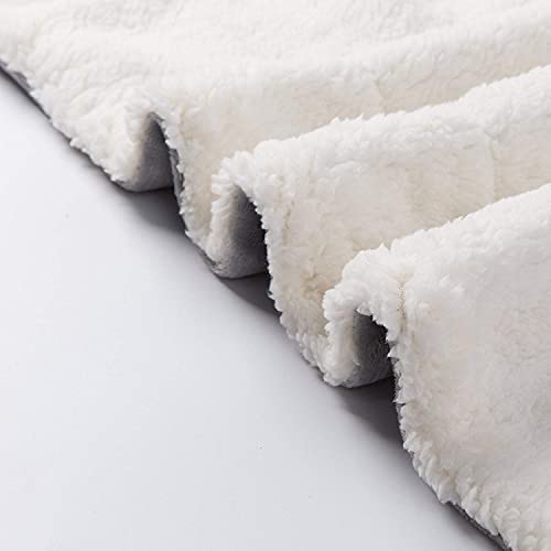 Nanpiper Sherpa Blanket Twin Thick Warm Blanket For Winter Bed Super Soft Fuzzy Flannel Fleece/Wool Like Reversible Velvet Plush Blanket (Light Grey Twin Size 60"X80") #TOP2