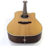 Takamine GD20CE-NS Guitare Acoustique-Électrique à l'Acoustic