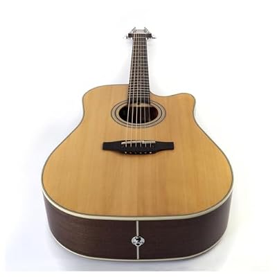 Takamine GD20CE-NS Dreadnought Cutaway Acoustic-Electric Guitar