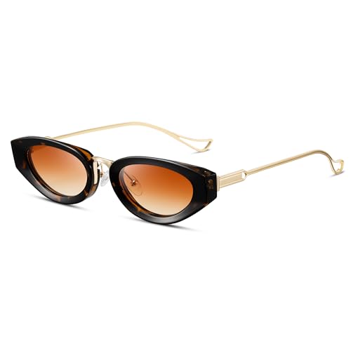 Cat Eye Sunglasses for Women Vintage Small Frame Sun Glasses for Female