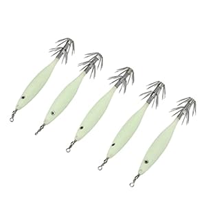 Inktvis Jig, Aantrekkelijk Draagbaar Gestroomlijnd Lichtgevend Vislokmiddel voor Zoutwater Voor Visliefhebbers