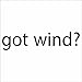 Sticker autocollant JDM Die cut Got Wind, Surf Kite Window Sticker - Noir - 149mmx33mm
