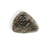 Größe vom Stein 25 - 30 mm Budawi® Leopardenjaspis Edelstein Trommelstein Taschenstein Handstein
