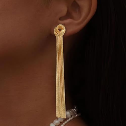 BriLove Fashion Long Chandelier Tassel Dangle Drop Earrings for Women Party Prom Accessories3