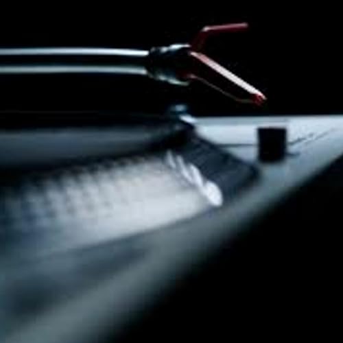 Back to the Root&acute;s