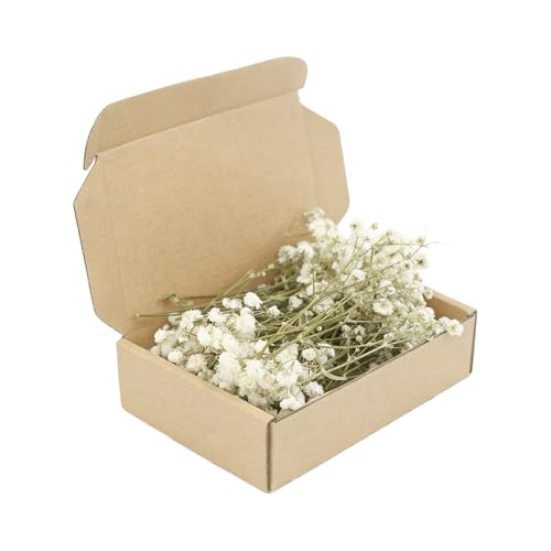 Schleierkraut Getrocknet 150 Stück Trockenblumen Schleierkraut Klein Weiß Trockenblumen zum Basteln Echte Natur für DIY Kerze Harz Schmuck Nagel Kunst Basteln