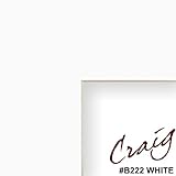 20x24 Mat for Picture Frame White with Cream Core and 16x20 Opening Size (B222MAT)