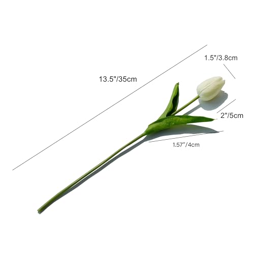 Image of Mandy's 28pcs Artificial Cream Tulips