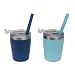 Housavvy 2 Pack Kids Stainless Steel Cups with Lids and Straws
