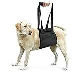 GREENADSCAPE Arné De Soporte y Rehabilitación para Perros Ayuda para Cachorros y Perros Mayores con Traseras Débiles o Recuperación De Cirugía Tamaño XL Arné Elevador con Cierre