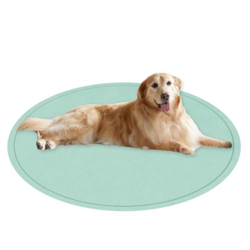 Tapis rond lavable pour chien idéal pour le salon moderne
