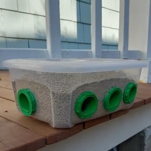 Generic Quail & Chick Port Feeder by NWQuailFarm (4 Pack)