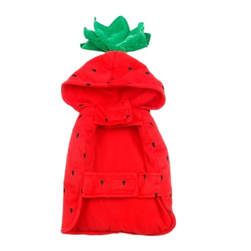 Fantasia de cachorro pequeno morango, fantasia de cachorro de Halloween com morango - Suéter gatinho