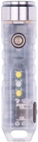 RovyVon Aurora A7 650ルーメンLEDキーチェーン懐中電灯、クリーUSB C 充電式ミニトーチ、蛍光ブルー、スーパーブライトEDCライト (青い) RovyVon Aurora A7 650ルーメンLEDキーチェーン懐中電灯、クリーUSB C 充電式ミニトーチ、蛍光ブルー、スーパーブライトEDCライト (青い)