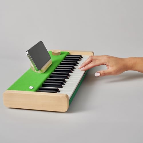 Image of Loog Digital Piano - Portable Keyboard for Beginners with Musician Grade Sound, MIDI Over USB-C Rechargeable Musical Educational Instrument (Loog x Duolingo piano)