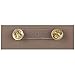 Army AGSU Custom Name Plate