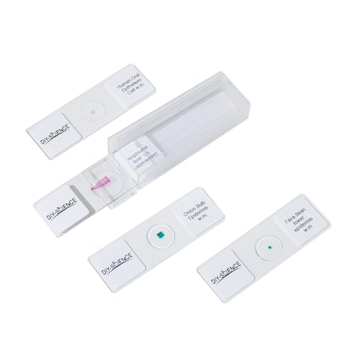 Typical Animals and Plants Cells Microscope Slides, Amphiuma Liver, Human Oral Epithelium, Fava Bean Lower Epidermis, Onion Epidermis, 4 Prepared Slides for Biology Science Class