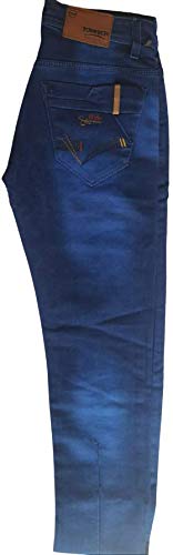 Regular Fit Stretchable Jeans 