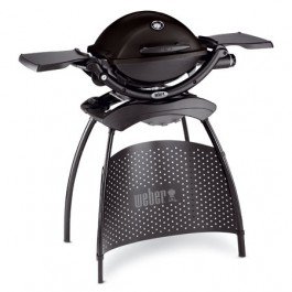 Weber GasGrill Test