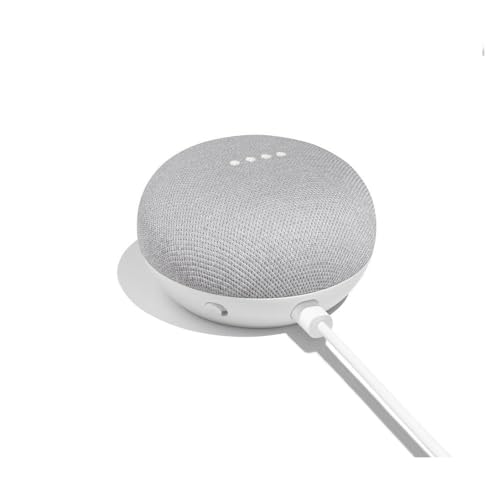 Google Nest Mini 1st Gen International