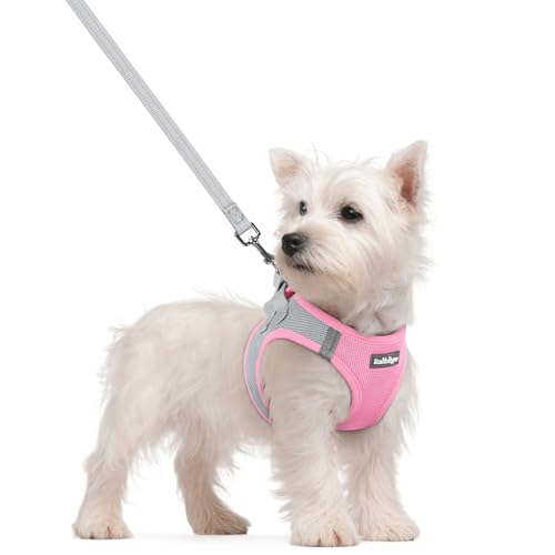 Image of rabbitgoo Dog Harness Small Sized and Leash Set, Step-in Puppy Pet Vest