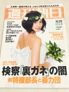 2010年10月29日号 AKB48 前田敦子 クリアファイル付 大島優子 渡辺麻友 柏木由紀 板野友美 篠田麻里子 松井玲奈