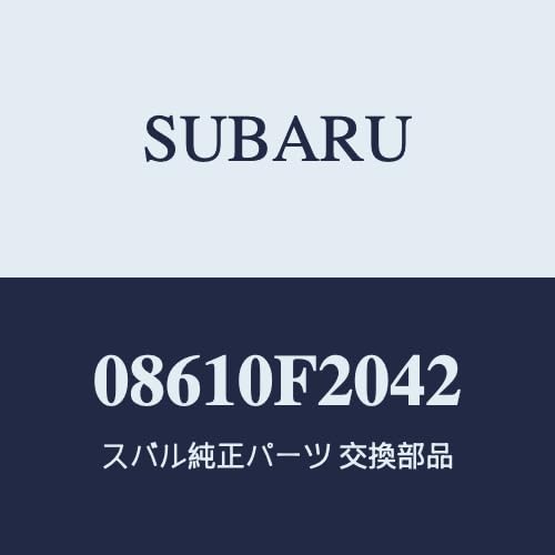 SUBARU(スバル) 純正部品 CHIFFON (シフォン) CHIFFON CUSTOM (シフォン カスタム)【Bタイプ】ワイドバイザー(ステンレスモール付)