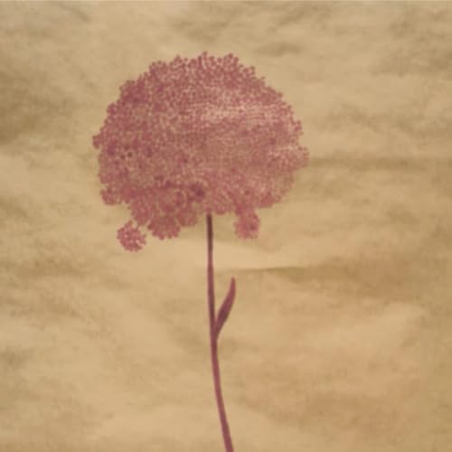 Image of Oasis Ecofriendly Kraft Paper Roll | Multipurpose Wrapping Paper for Flower Bouquets, Gift Packing, Hampers, Wedding, Festival, Arts & Crafts, DIY & Event Decor | Pink | Angelica - 25 Meter Long