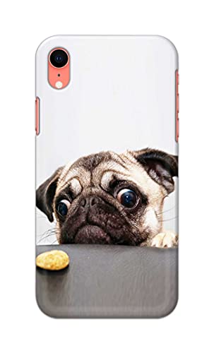 Image of PRINTFIDAA� Printed Hard Back Cover Case for Apple iPhone XR Back Cover (Pug Dog) -2808