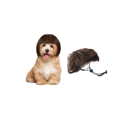 ybgEBbO  L ybgp Xq 蕨   L nEB Jc p[} At ObY ϑ ϐg Be o| U EȒP ʔ ڂɗ ΂  RXv  (uE)