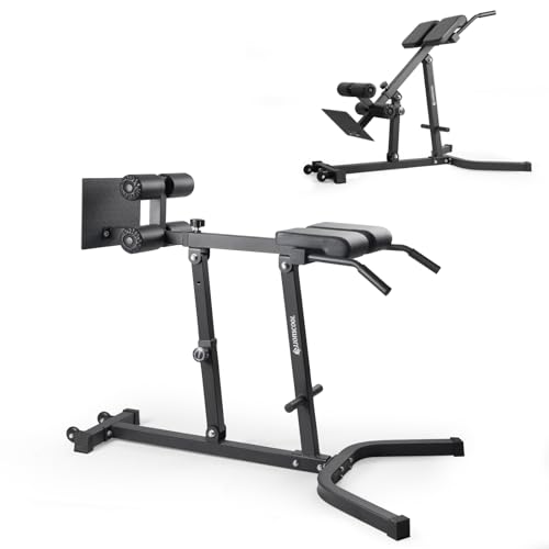 LIONSCOOL Silla romana de hiperextensión ajustable de doble función (rango de 45 a 90 grados), banco de extensión trasera con 8 ángulos ajustables y 10 rangos de altura ajustables, perfecto para