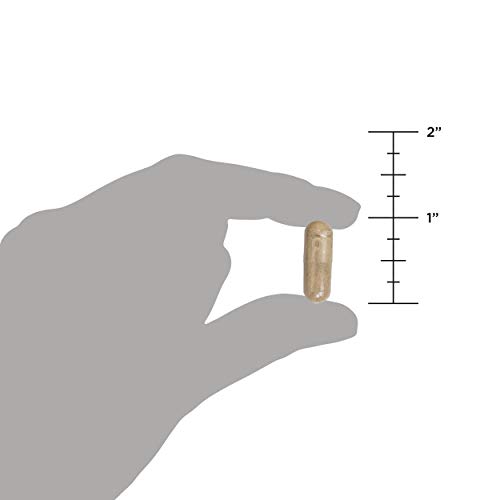 image for Iron Supplements by Ancient Nutrition, Ancient Nutrients Blood Booster