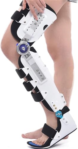  XvgAҊ֐ G  u[XA T|[g ֐ GT|[g  肵یXvg rveN^[ ×pr  G U (\)