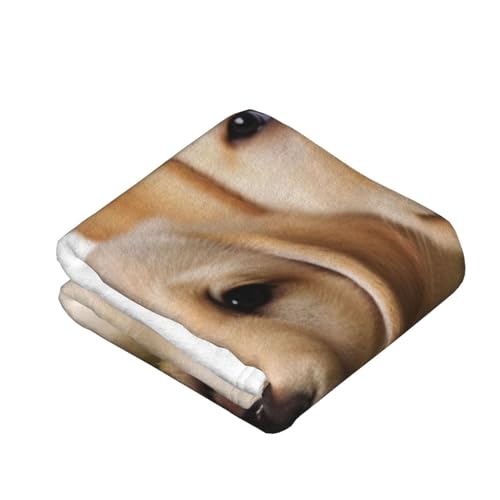 Couverture pour climatisation chiot labrador fini les frissons de nuit
