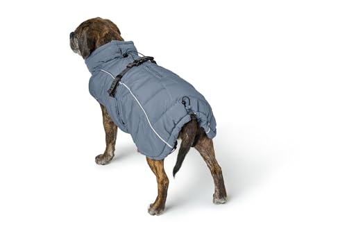HUNTER Hundemantel Paxson Mops & Co., Farbe: taubenblau, stylischer Puffermantel, wasserabweisend, reflektierende Details, optimaler Sitz für kompakte Hunde, maschinenwaschbar, Größe: 36