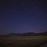 Pylvtmjqfc Reader's Digital Perspective